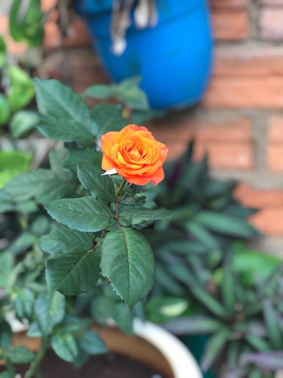 Hotel An Nhien Buôn Ma Thuột Dış mekan fotoğraf