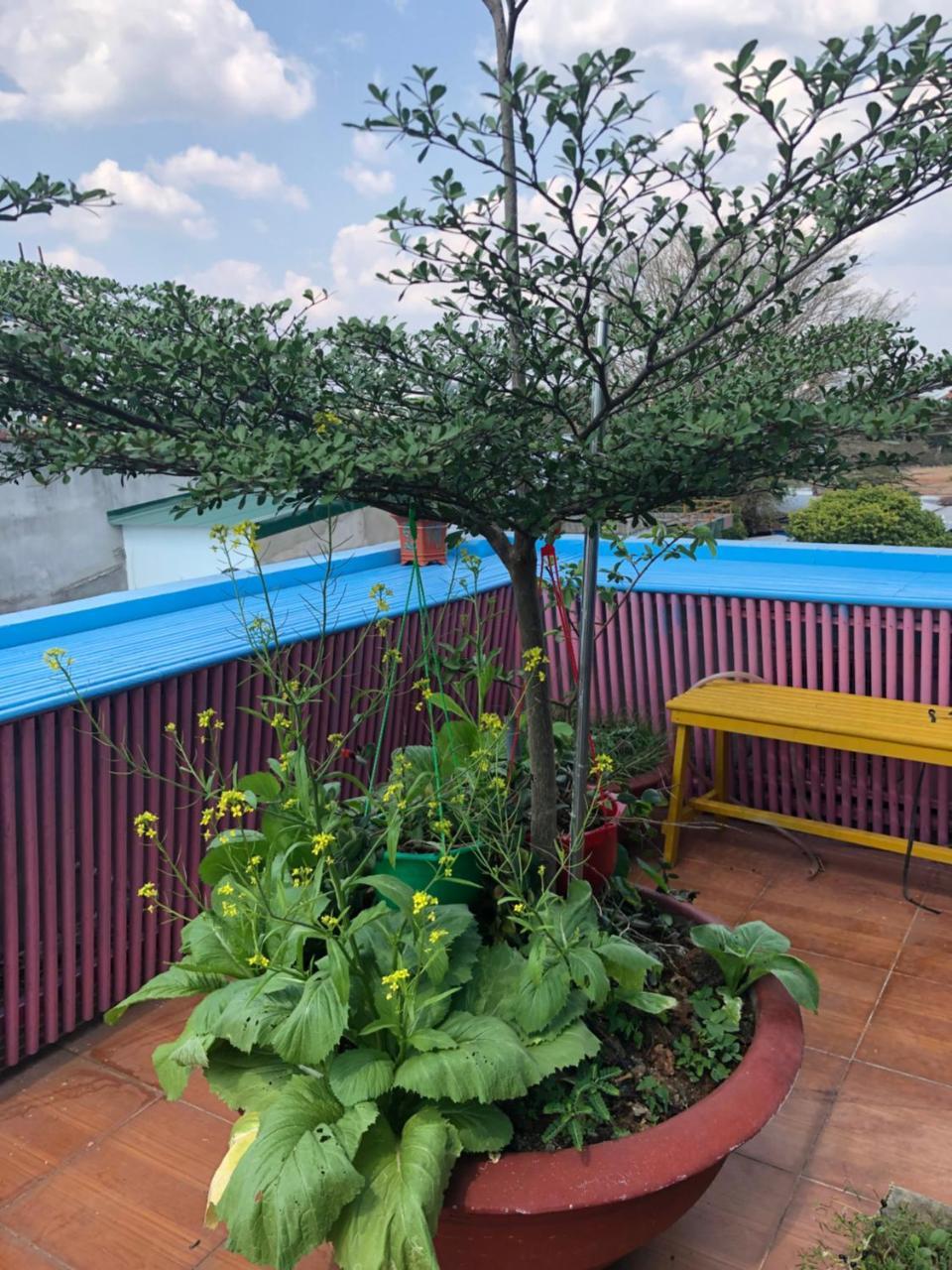 Hotel An Nhien Buôn Ma Thuột Dış mekan fotoğraf